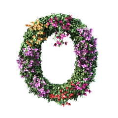 Fototapete - 3d rendering of Bougainvillea alphabet