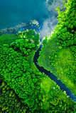 Fototapeta Natura - Top down view of amazing blooming algae on river