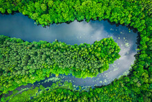 Flying Above Green Forest And River In Summer.