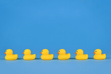 Yellow Rubber Ducks In A Row On Blue Background With Copy Space