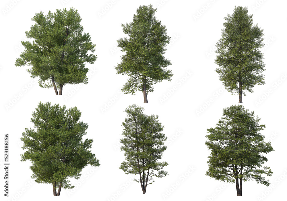 Many Tree Transparency Tree on a transparent background Stock Illustration | Adobe Stock