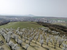 Watchtower Mandlonove sady Hustopece Czechia Mandloňová rozhledna a sady v Hustopečích,Czech republic,Europe,aerial panorama landscape view