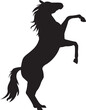 Jumping black Horse silhouette. Vector rearing horse cutout. Vector illustration isolated for print, web and poster. Clipart, symbol, logo, graphic, free mustang, show animal, stallion design. EPS 10
