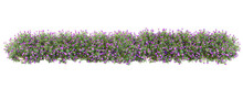 Shrubs And Flower On A Transparent Background
