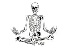 Vector Skeleton In Yoga Position. Three Separate Parts (skull, Torso, Legs). 