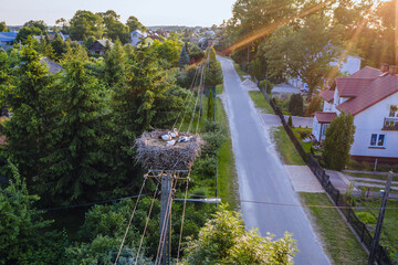 Canvas Print - Stork nest in a village in Mazowsze region of Poland