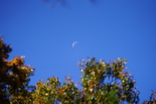 Day Time Half Moon Photograph During The Autumn Season