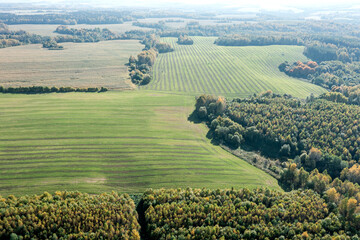 Wall Mural - aerial panoramic view of summer countryside landscape with cultivated farmland on sunny day