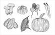 hand drawn vintage illustration illustration of vegetables and fruits