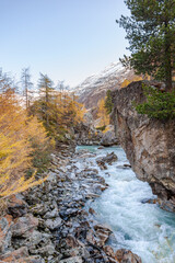 Wall Mural - Stream with running glacier water