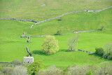 Fototapeta Big Ben - View over Swaledale from path above Reeth in Yorkshire Dales