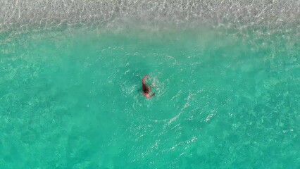 Wall Mural - Man playing inside aqua blue waters in the tropics.