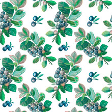 Watercolor Seamless Natural Pattern With Blueberry Green Branches And Berries At White Background. Art For Kitchen Rustic Textile. 