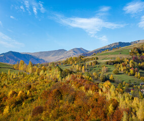 Wall Mural - autumn morning carpathian mountains calm picturesque scene, ukraine. peaceful traveling, seasonal, n
