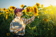 Woman farmer standing in a sunflower field and checking crop.