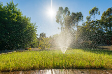 Low Angled View Of A Garden Sprinkler Send A Spray Of Water Over Green Grass