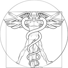 Sticker - Caduceus medical symbol Vitruvian man concept with figure like Leonard Da Vinci anatomy drawing