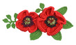 Crocheted poppies flowers and leaves isolated on a white background.
