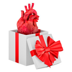 Poster - human heart inside gift box, present concept. 3d rendering