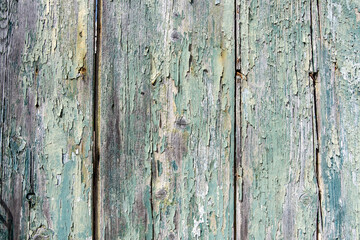 Wall Mural - Wood for background, texture. Wooden blue empty peeled shabby board planks for backdrop. Copy space