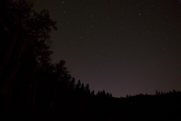Stars astrophotography night sky with trees