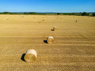 Wall Mural - Low level aspect view over a wheat field with bales of straw ready for collection in the English countryside farmland