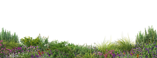 Sticker - Shrubs and flower on a transparent background
