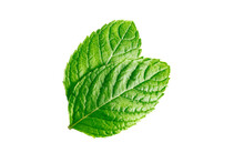 Mint Leaves Mint Leaves Isolated On Transparent Background