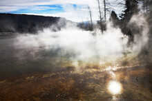 Hot Fog Above Geothermal Springs