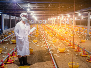 Wall Mural - The woman in the chicken farm business