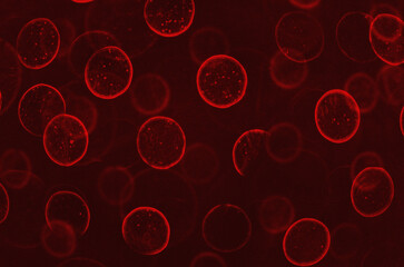 Wall Mural - red background with particles. abstract background