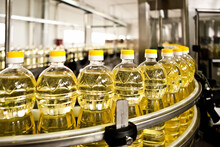Factory For The Production Of Edible Oils. Shallow DOFF. Ukraine