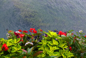 Poster - Summer view of the Chapel bridge, famous place on lake Luzern Switzerland, Europe