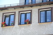 Kamienica architektura kwiatek w oknie