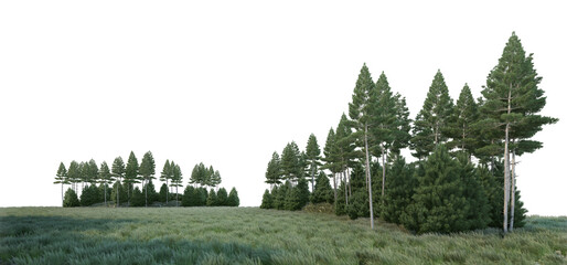 Canvas Print - Coniferous forest on a transparent background
