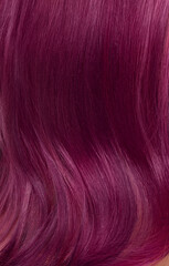 Wall Mural - A closeup view of a bunch of shiny straight purple hair in a wavy curved style