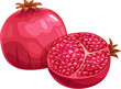 Leinwandbild Motiv Pomegranate fruit, ripe red garnet organic plant