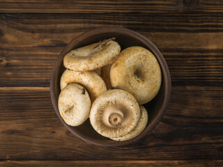 Wall Mural - Milk mushrooms in a clay bowl on a blue background. Flat lay.