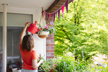 Girl Watering Hanging Flower Pot On Balcony