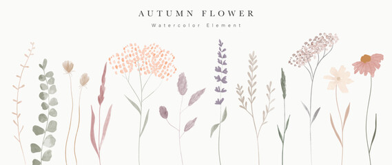 Aufkleber - Collection of floral elements in watercolor. Set of autumn wild flowers, plants, branches, leaves and herb. Hand drawn of fall season blossom garden vectors for decor, website, graphic, decorative