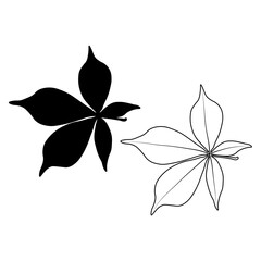 Wall Mural - Set of vector chestnut leaf outline and silhouette black icon. Simple chestnut leaves illustration for logo. Realistic hand drawn leaves illustration set on white background.