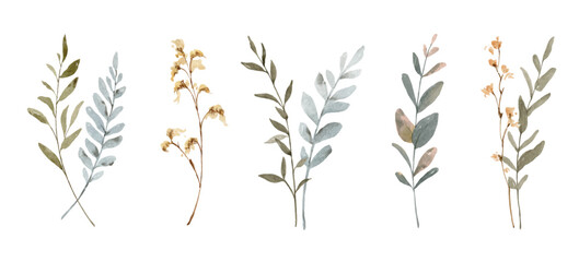 Wall Mural - watercolor vector set of autumn branches isolated on a white background.