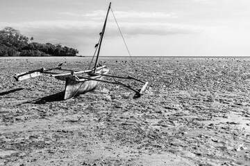 b&w traditional zanzibarian wooden outrigger fishing canoe beached