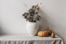 Autumn, Fall Still Life. Big Ceramic Vase With Dry Hydrangea Flowers, Grass Boho Bouquet. Orange Pumpkins And Pear Fruit On Linen Table Cloth. White Wall Background. Halloween, Thanksgiving Holiday