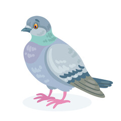 Sticker - Gray dove. In cartoon style. Isolated on white background. Vector flat illustration. 