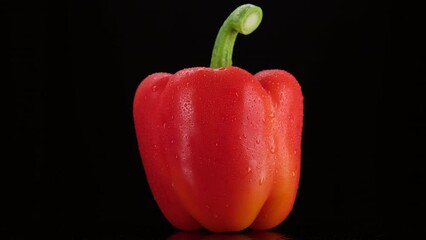 Poster - Fresh Red paprika pepper isolated on black background, rotate. Healthy food concept