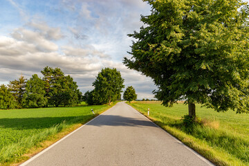 Wall Mural - Road in the countryside. Summer day. South Czech Republic.