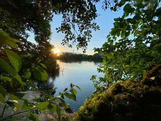  View of the quarry lake, framed by leafy branches, the sun sets between the row of trees and the water. Heaps of seaweed fished out of the lake are in the foreground.