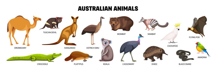 Wall Mural - Australian Animals Set