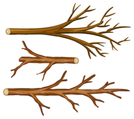 Wall Mural - Set of different tree branches isolated